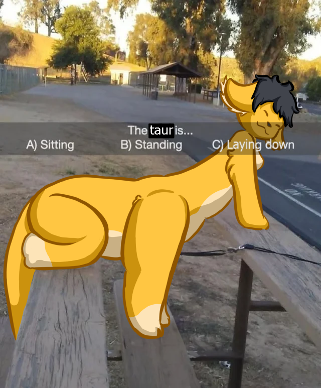 The taur is...